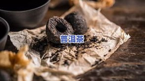 普洱茶里的菌都有哪些，揭示普洱茶中的神秘菌群：你所不知道的世界