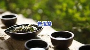 茶叶的制作过程步骤图，从采摘到泡茶，茶叶制作全过程图文解析