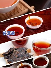 生普洱茶与熟普洱茶的区别：价格、口感及制作工艺的全面解析