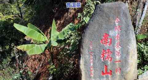 古树陈香普洱茶的价格-古树陈香普洱茶的价格是多少