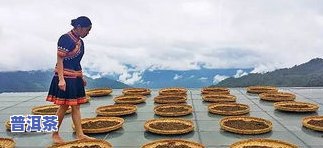 普洱茶饼上的纸，揭开普洱茶饼的神秘面纱：探索茶饼上那张特殊的纸