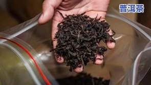 普洱茶什么茶仓-普洱茶什么茶仓好