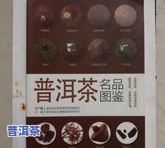 普洱茶名品图鉴大全下载