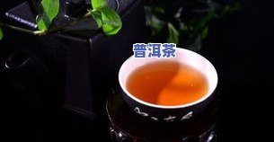 乙肝能喝小青桔普洱茶-乙肝能喝小青桔普洱茶吗