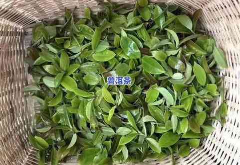 河南柑皮普洱茶售价多少钱一斤？熟茶价格是多少？