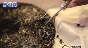 普洱茶：功效、作用解析及生茶与熟茶比较