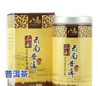 大益普洱与八马茶业普洱：有何不同？