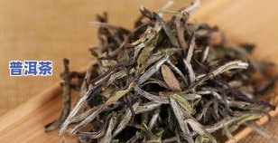 青砖茶属于普洱茶吗，探讨青砖茶与普洱茶的关系：青砖茶是不是属于普洱茶？