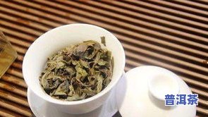 保山市好还是普洱茶好-保山和普洱哪里更好