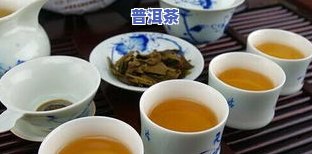 上根普洱茶怎么样？口感怎样，有什么特点？请分享您的评价！