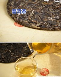 12年12年普洱茶价格-12年的普洱茶价格表