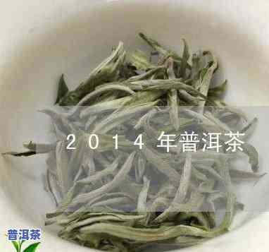 12年12年普洱茶价格-12年的普洱茶价格表