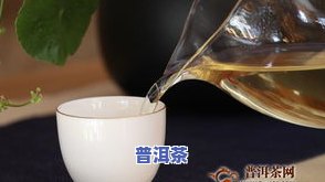 杭州中茶普洱茶-杭州中茶普洱茶怎么样