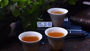 普洱茶的味道究竟应该是怎样的？探讨其口感与香气