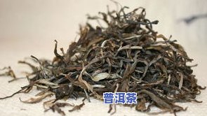 普洱茶散茶大全-普洱茶散茶大全图片