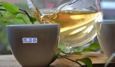 湿热体质适合喝普洱茶吗？女性也适用吗？