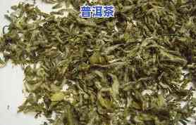 有机普洱茶叶：种类与介绍