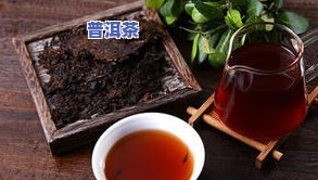 普洱茶王在哪里，探寻茶叶瑰宝：普洱茶王究竟藏身何处？