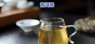 冰岛地界普洱茶特点，探索冰岛地界的独特普洱茶特性