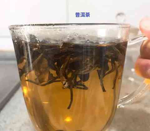 普洱茶功效加陈皮的功效-普洱茶功效加陈皮的功效与作用