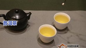 普洱茶记，普洱茶记：一杯茶，一种生活