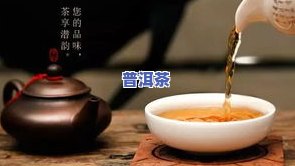 普洱茶中风-普洱茶中风味物质与环境