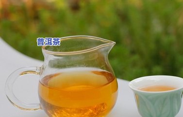 普洱茶加什么比较好喝一点，探索美味：普洱茶与什么搭配更佳？