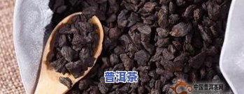 2006年普洱茶价格多少？一斤多少钱？