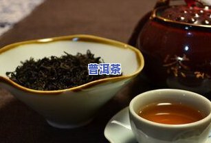 肾阳虚可以喝普洱茶吗，普洱茶是否适合肾阳虚者饮用？