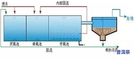 冰岛青茶的工艺流程详解及图解