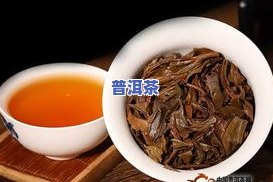 稀有普洱茶老茶-稀有普洱茶老茶图片