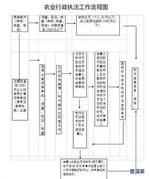 冰岛青茶的工艺流程-冰岛青茶的工艺流程图