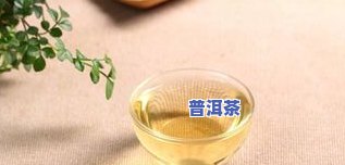 冰岛茶哪年火起来的-冰岛茶哪年火起来的