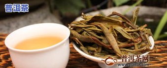 帕沙古树茶-帕沙古树茶是哪个茶区的