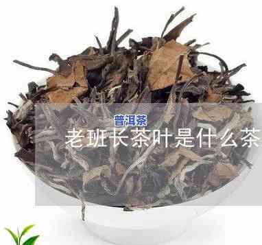 普洱茶老班长的价格，揭秘普洱茶老班长的价格，了解其市场价值与收藏前景