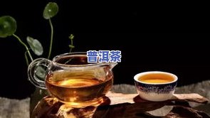 探究红茶普洱茶的功效与作用是什么？