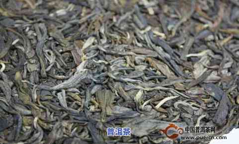 勐福普洱茶怎样-勐福普洱茶怎样辨别真假