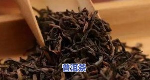 普洱新茶上市时间：何时购买更佳？