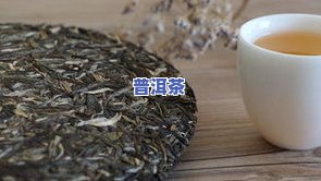 大雪山普洱茶生茶新茶价格，最新报价：大雪山普洱茶生茶新茶价格一览