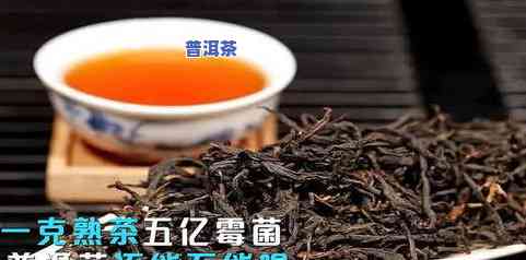 普洱茶上霉了怎么回事？还能喝吗？