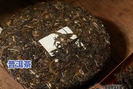 普洱茶上霉了怎么回事儿？解决办法大公开！