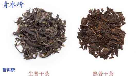 玲珑古树普洱茶价格全览：生茶与其它款式的价格对比