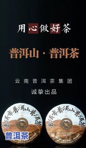 普洱茶是不是，探究普洱茶的真实身份：它到底是什么？