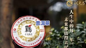 能升值的普洱茶品种有哪些呢，探寻升值潜力：哪些普洱茶品种值得投资？