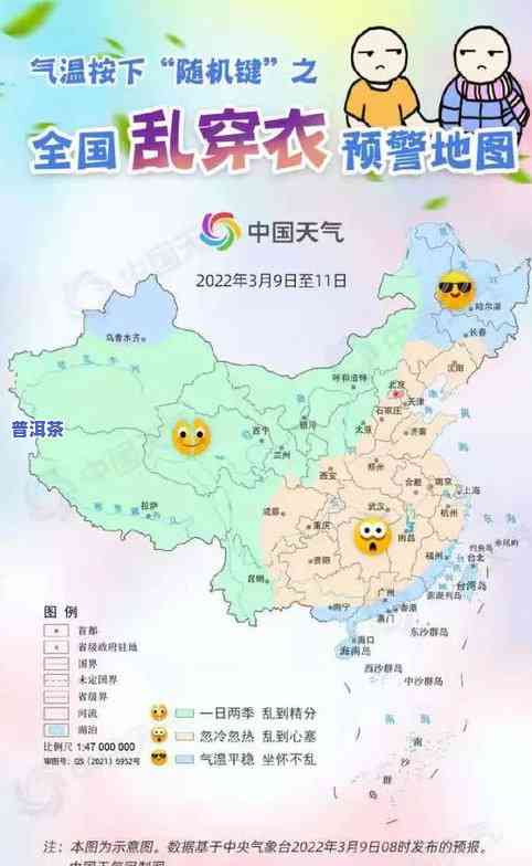 冰岛古树茶：地理位置、地图与详细介绍