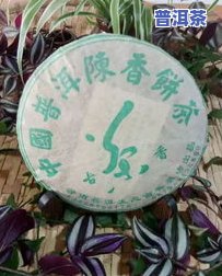 一两句普洱茶的感悟，品味人生：一两句普洱茶的感悟