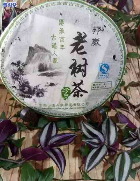 普洱茶感恩的心-普洱茶感悟