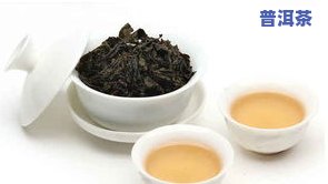 普洱茶青茶是什么？详解其由来与特点