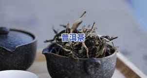 普洱茶的茶青等级，探索普洱茶的世界：了解茶青等级对茶叶品质的影响