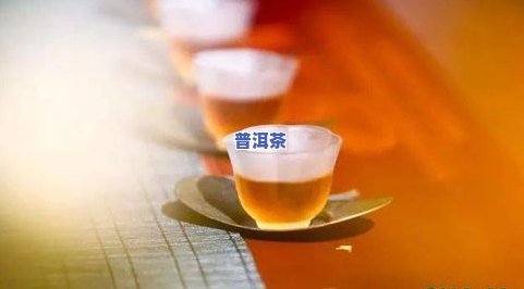 普洱茶上面飘着一层油-普洱茶上面飘着一层油是什么